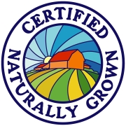 CNG color logo